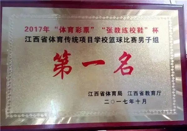 如何通过数据分析优化篮板训练效果?_2